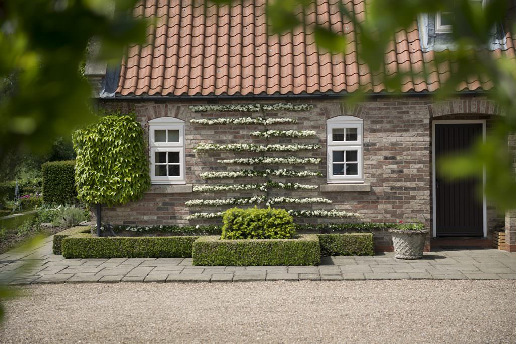 StyleLine Windows