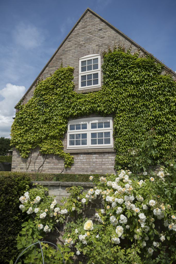 StyleLine Windows