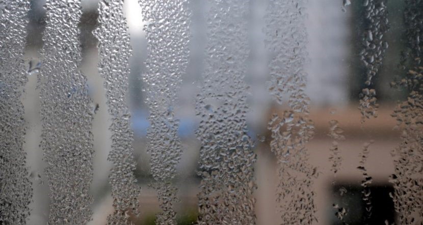 Window Condensation