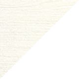 Classic Cream / White
