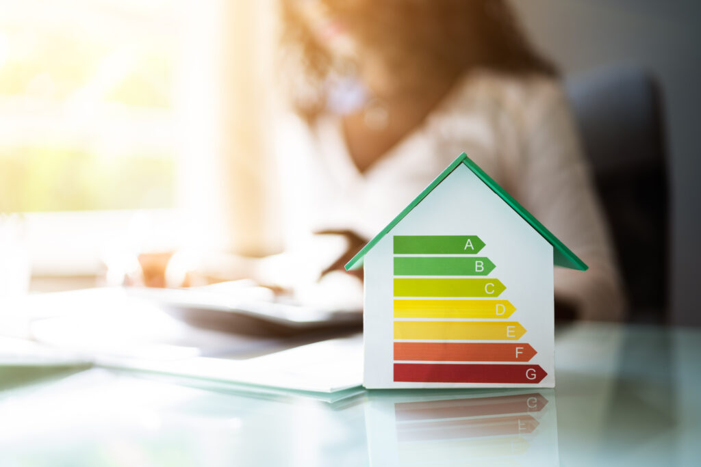home energy ratings and efficiency
